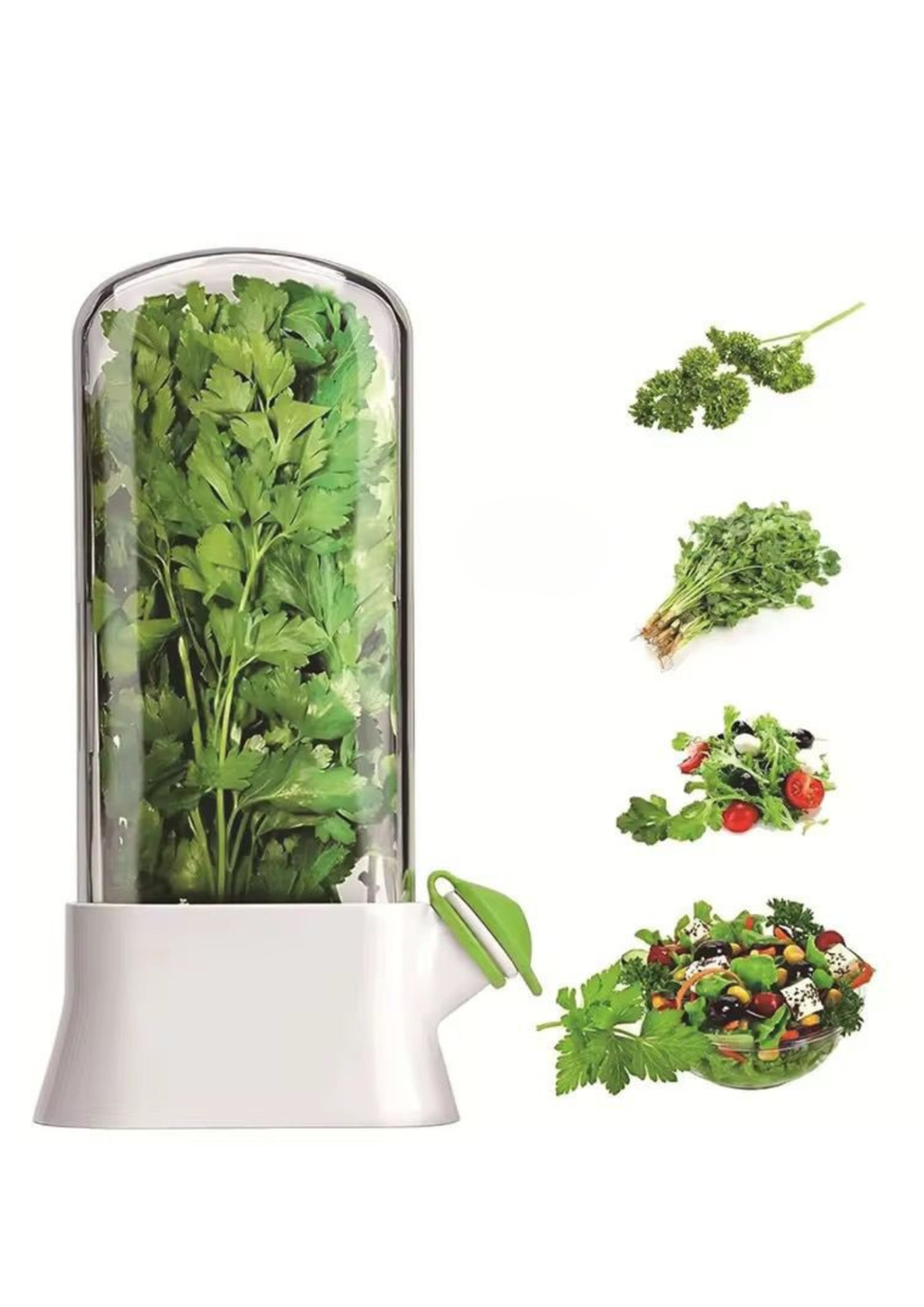Herb keeper designed for storing parsley, coriander and other fresh herbs