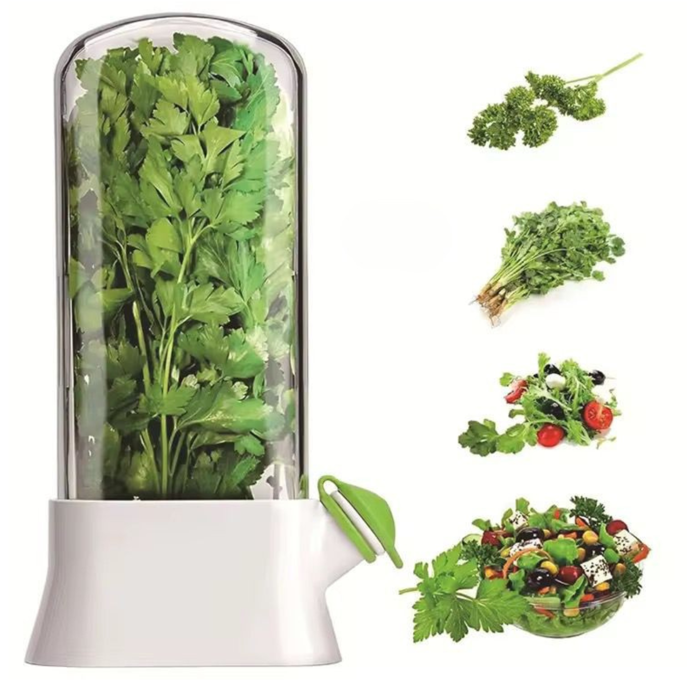 Beiryta Fresh Herb Keeper with Water Reservoir