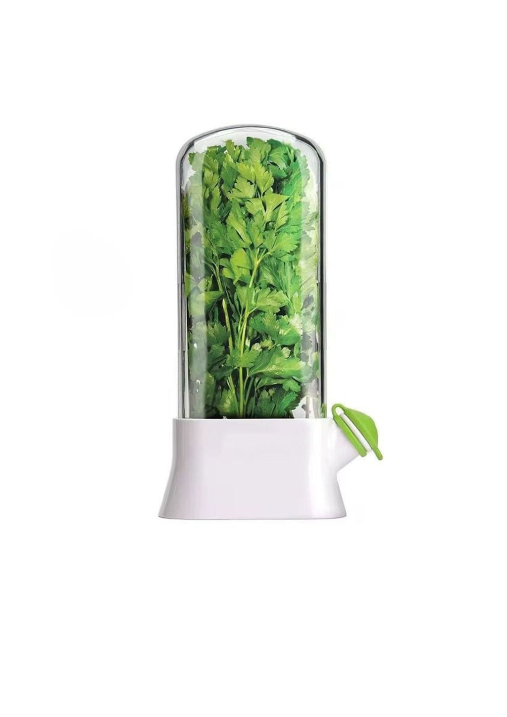 Fresh parsley stored upright inside the Beiryta herb keeper