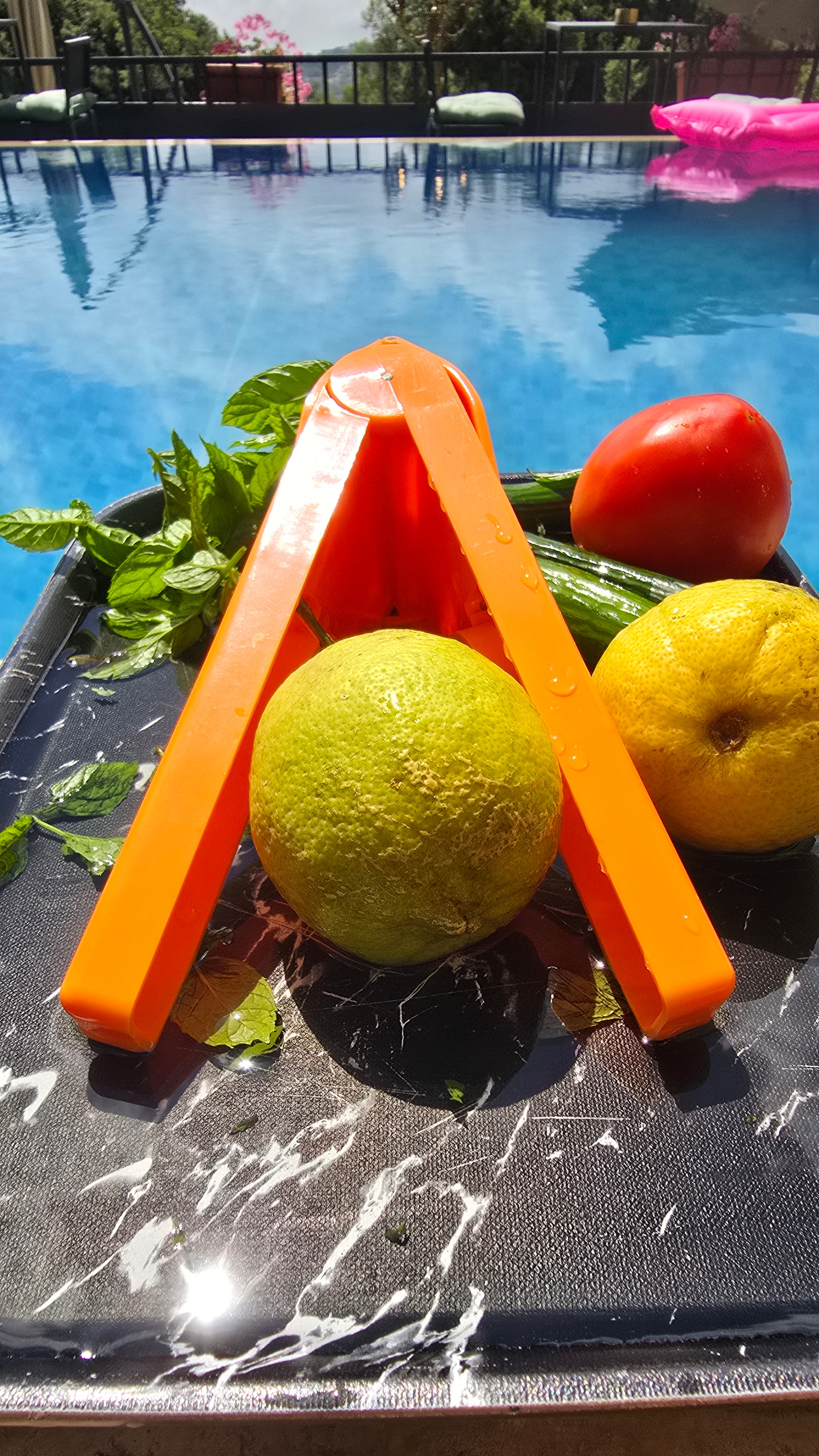 Manual citrus press for squeezing fresh lemon juice